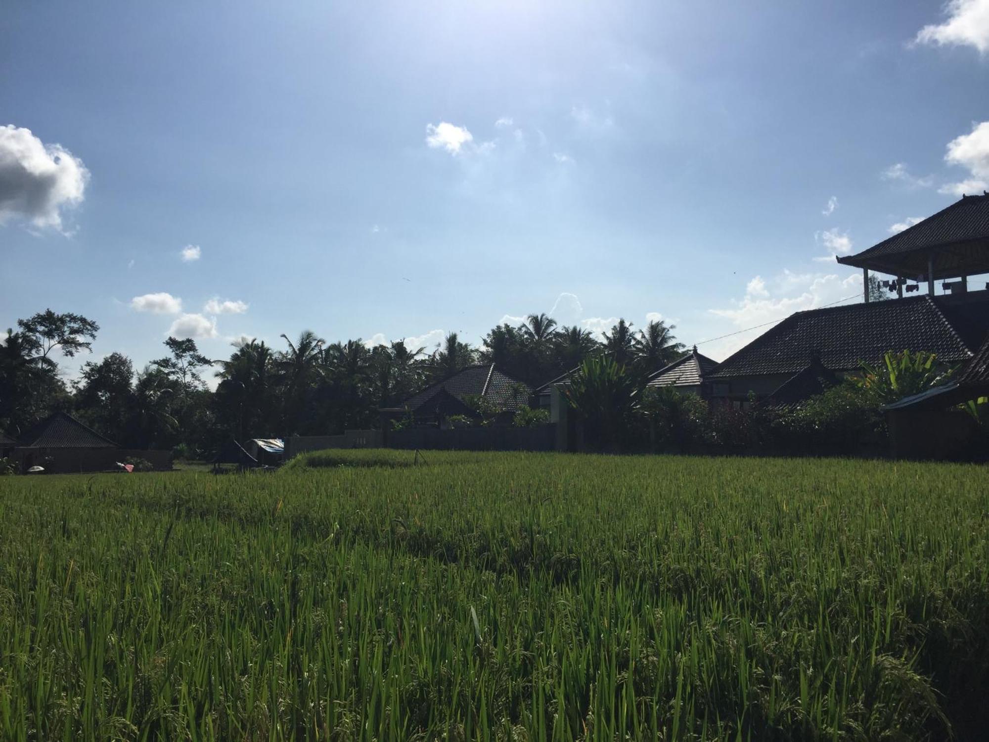 Ratna Villa Ubud Habitación foto